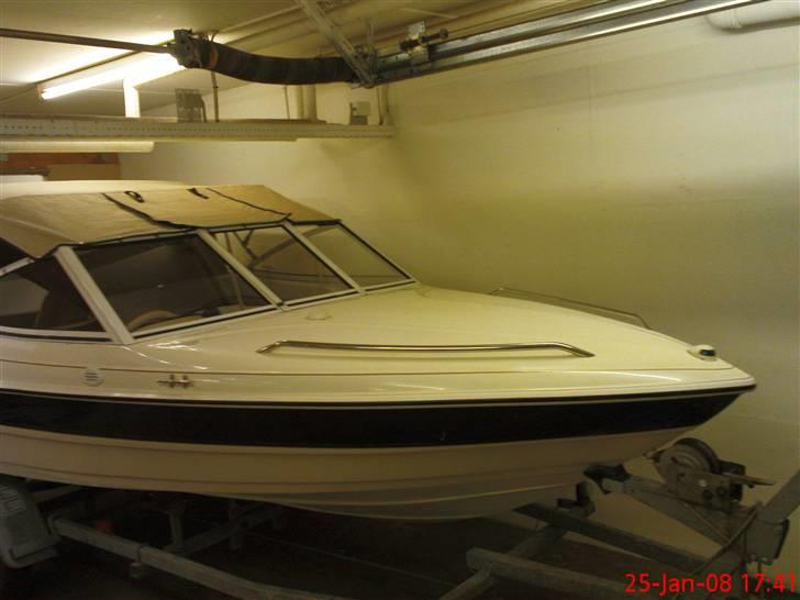 Campion 485 CD billede 6