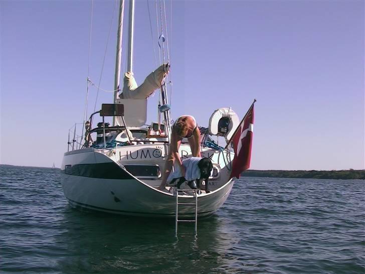 Comet Comet 11 PLUS - Badeplatformen på 11 plueren, giver gode forhold med en gummibåd. billede 6