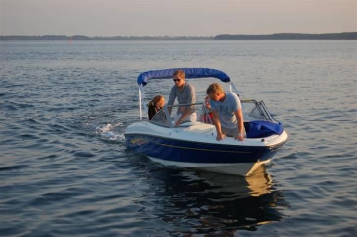 Bayliner Capri 175 Sport billede 6