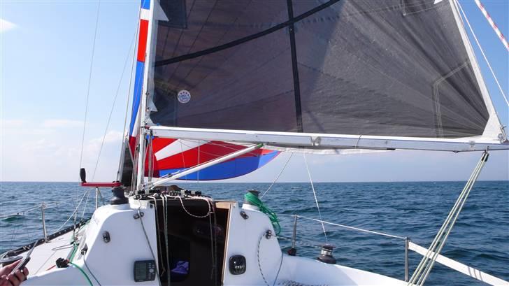 Z-Yacht MG 26 billede 6