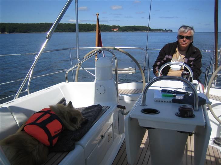 Jeanneau 40,3 billede 18
