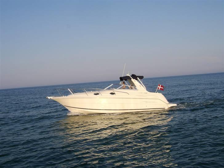 Monterey 302 cr billede 1