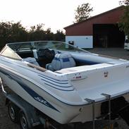 Sea Ray Sr 200