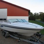 Sea Ray Sr 200