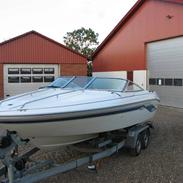Sea Ray Sr 200