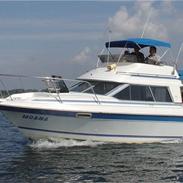 Bayliner 2556 fly