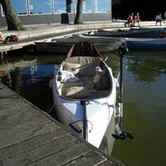 B Pinara