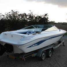 Sea Ray Sr 200
