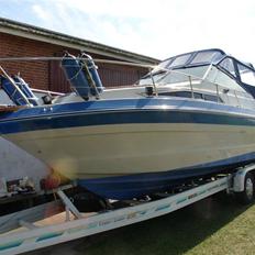 Sea Ray 250 DA