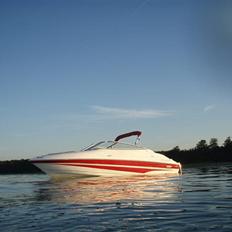 Campion allante s565 STJÅLET HJÆLP
