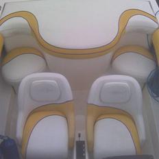 Wellcraft scarab