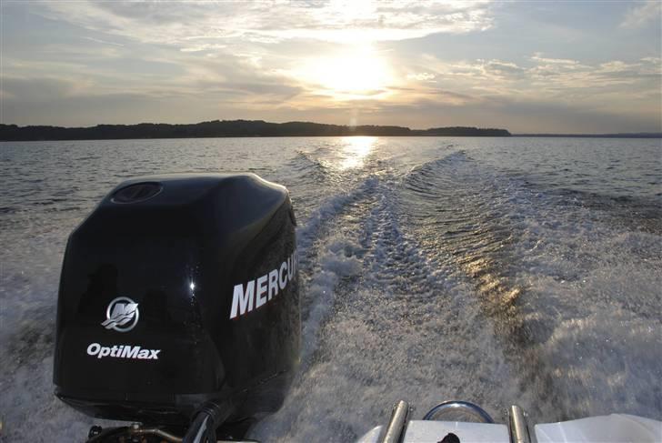 Doral Sunquest 170 (solgt) billede 7