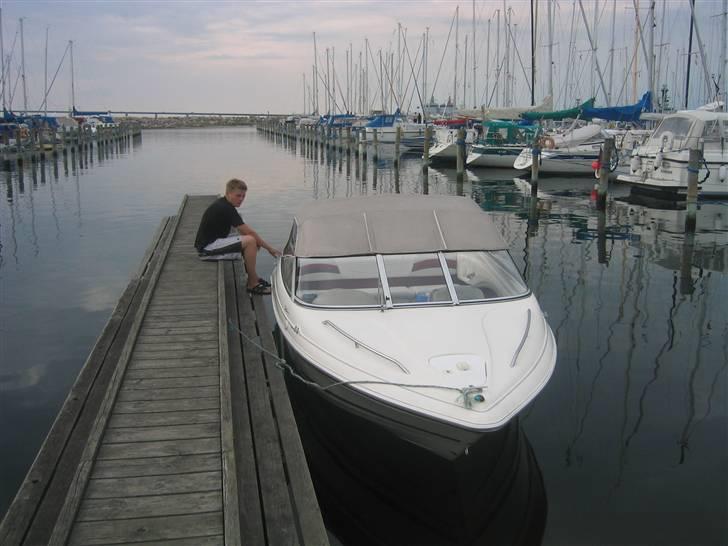 Campion Allante 535 CD  billede 1