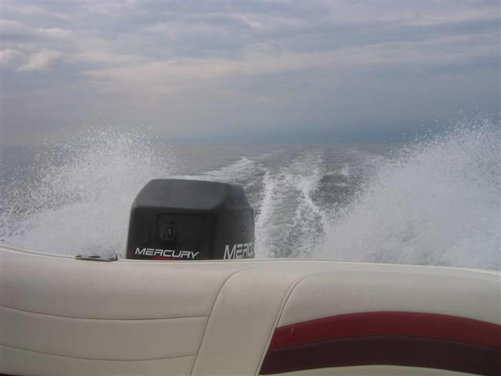 Campion Allante 535 CD  billede 8