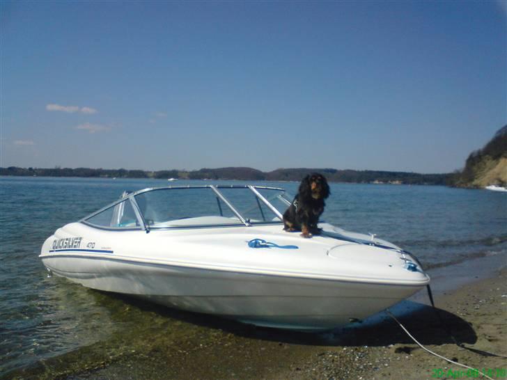 Quicksilver 470 Sport - 20/4-´08 ved Hindsgavl strand (lillebælt) billede 14