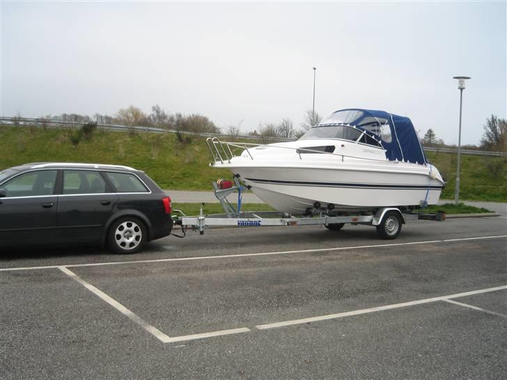Drago 550 Fiesta billede 2