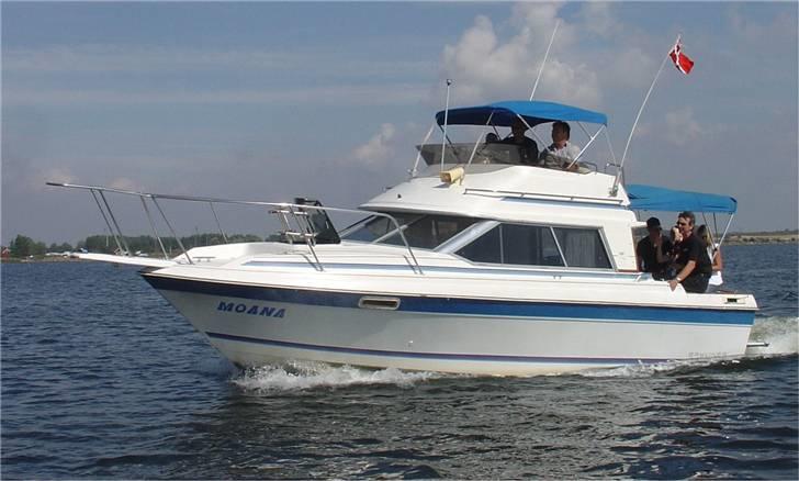 Bayliner 2556 fly billede 1