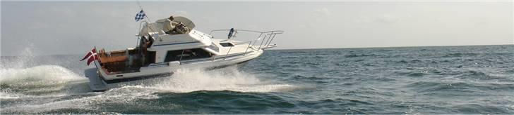 Bayliner 2556 fly billede 5