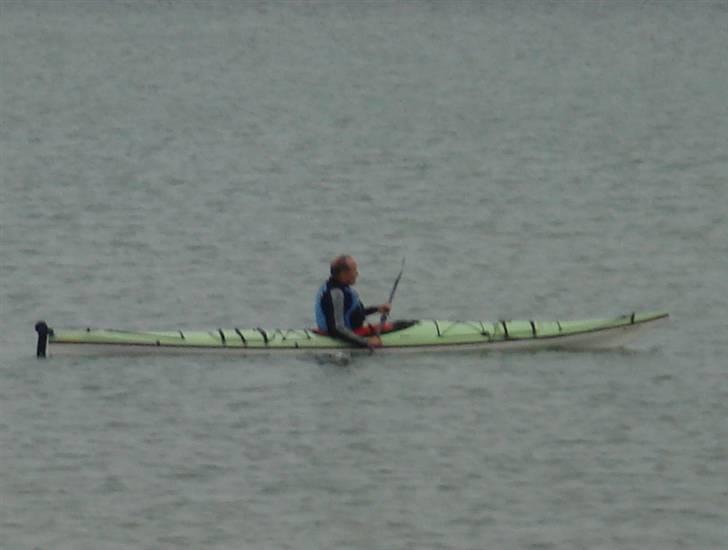 Selco Selspeed/Rimini - Pas på vilde Frans på evig jagt efter match race,han udfordre alt og alle til ræs sidst gik det ud over to gravænder   billede 10