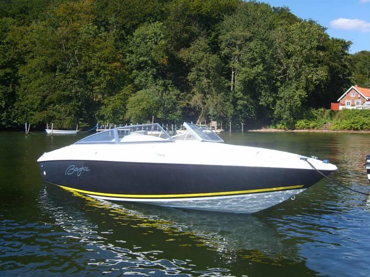 Baja 202 Islander  billede 1