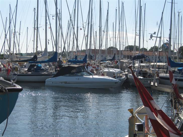 Mariah Z 250 billede 4