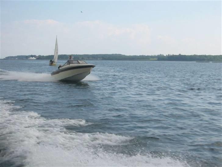 Champion Champion billede 2