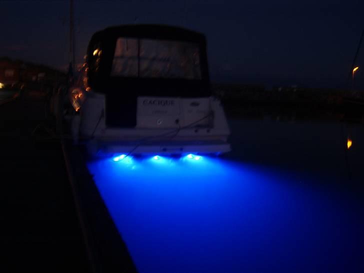 Monterey 302 cr - Nye UV-lys til sæson `08 billede 15