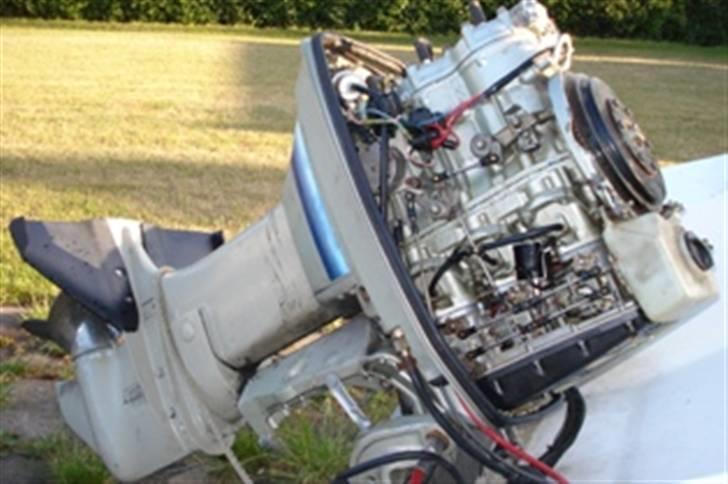 Mustang  magne waverider billede 4