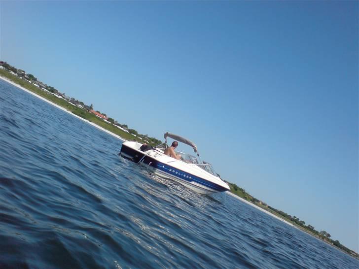 Bayliner capri 1750 billede 5