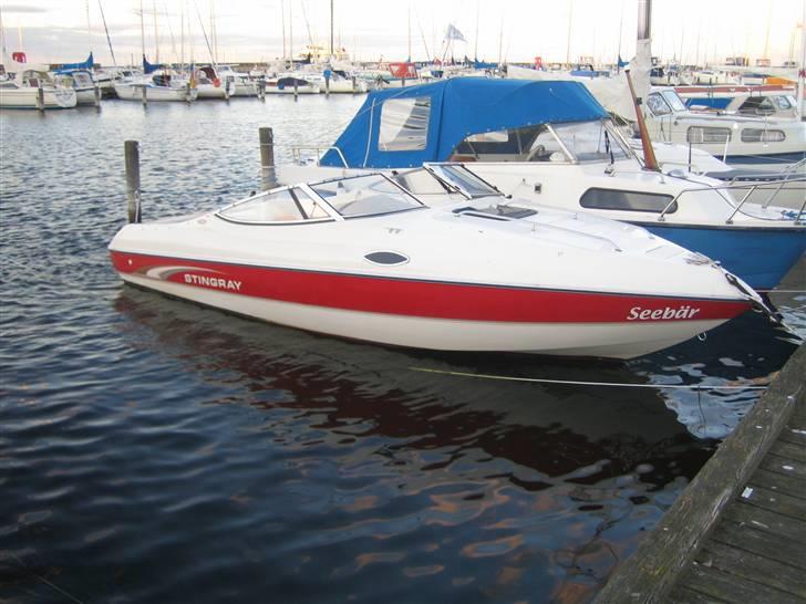 Stingray 200 cs billede 1