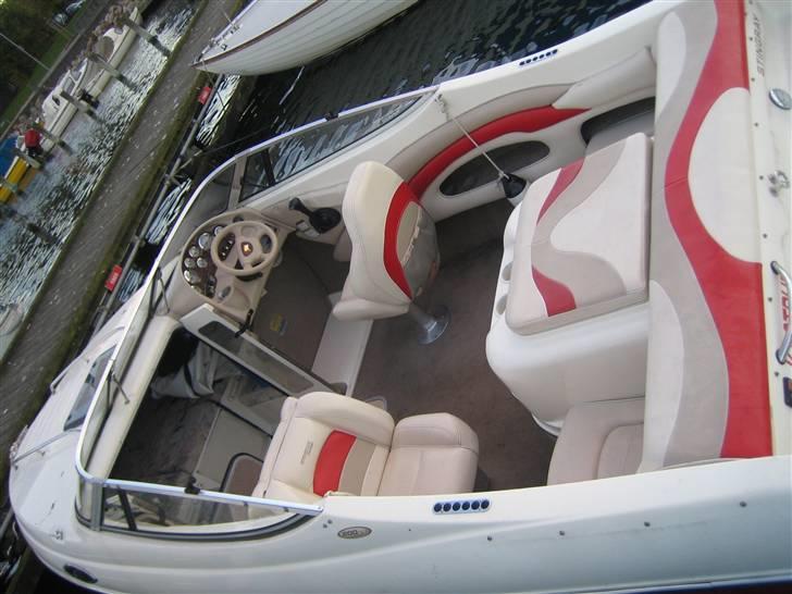 Stingray 200 cs billede 2