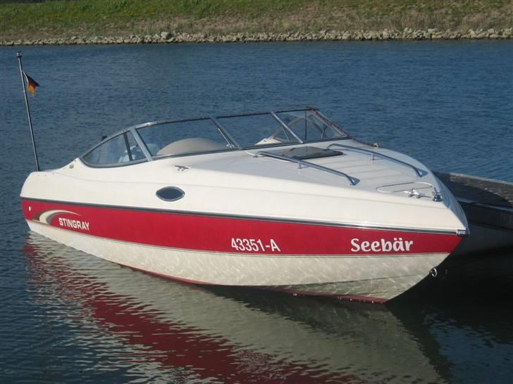 Stingray 200 cs billede 7