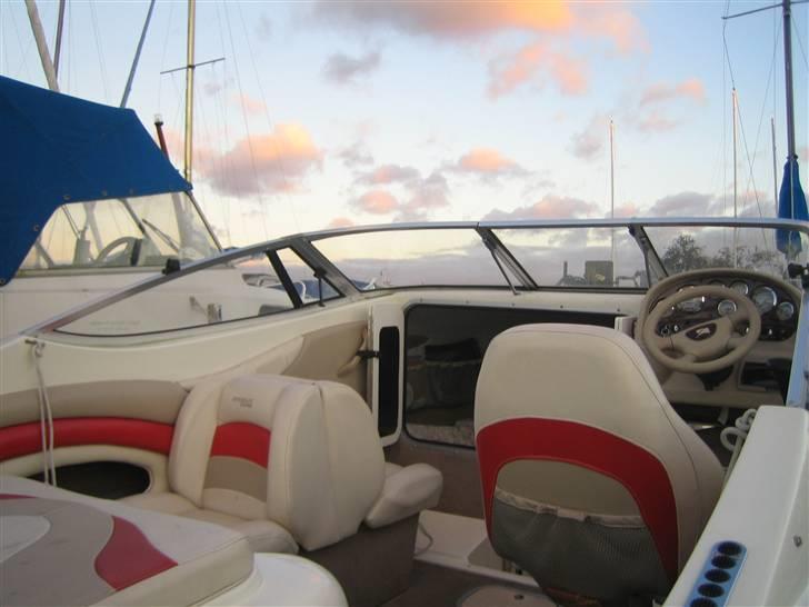 Stingray 200 cs billede 11