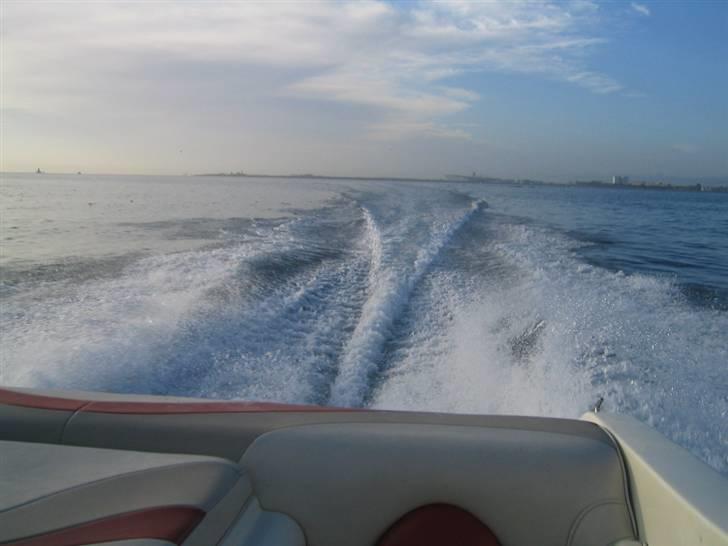 Stingray 200 cs billede 15