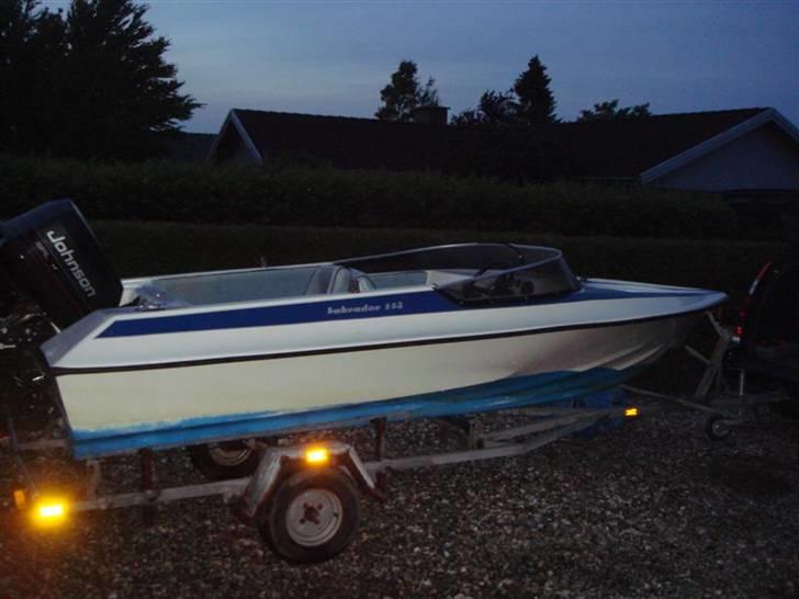 Labrador 143 Solgt billede 2