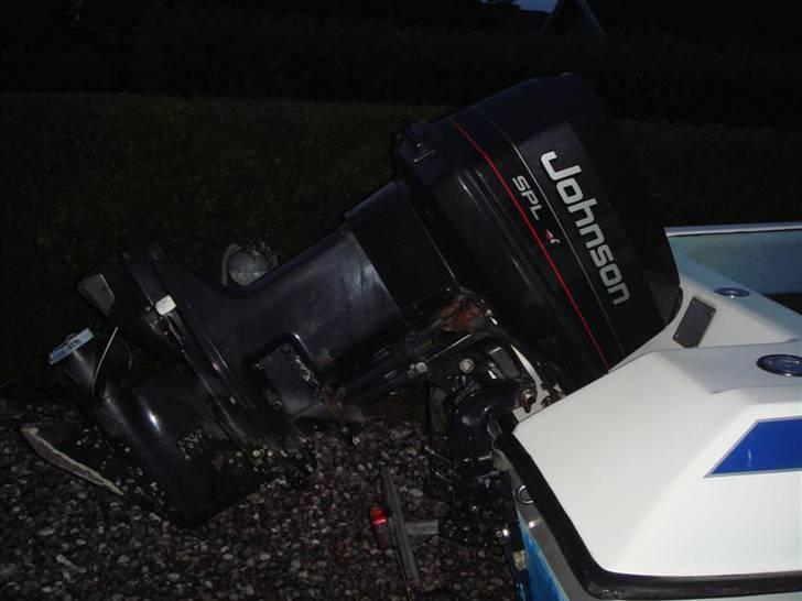 Labrador 143 Solgt billede 4