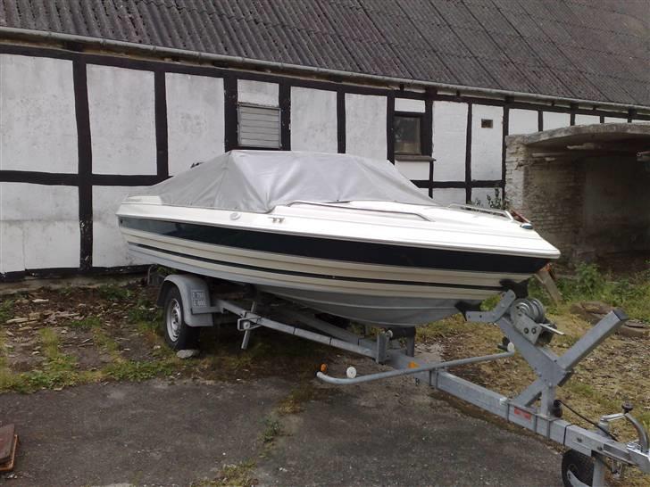 Campion Allante 485 billede 2