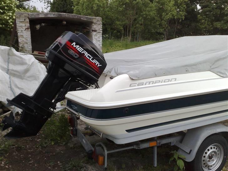 Campion Allante 485 billede 3