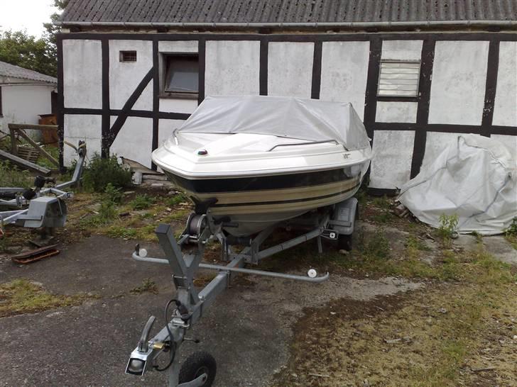 Campion Allante 485 billede 4