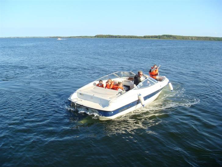 Regal 202 SE Valanti billede 19