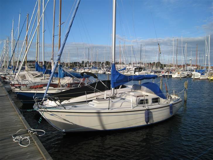 Drabant Drabant Polaris 26 billede 1