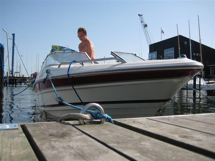 Campion 505 Bowrider - SOLGT - Ved broen... billede 14