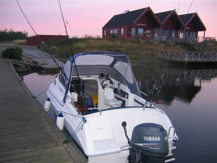 Drago 550 Fiesta - Dejlig morgenstund ved Årøsund inden tur på vandet. billede 4