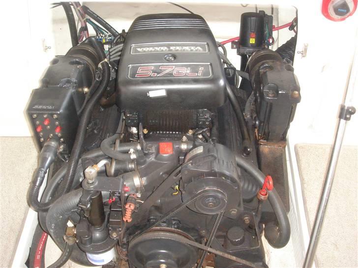 Wellcraft Elipse 5,7 V8 inj. billede 3