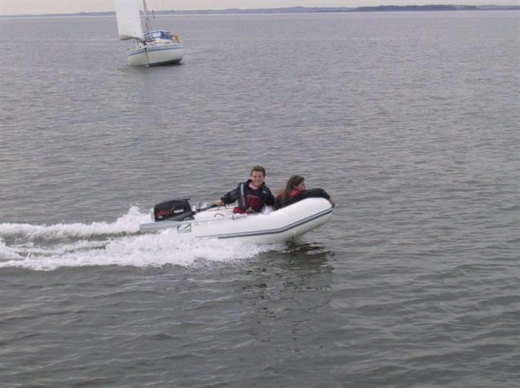 Zodiac vmax billede 4