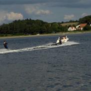 Flipper 520