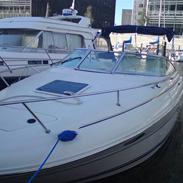 Sea Ray Weekender