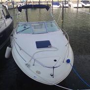 Sea Ray Weekender
