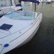 Sea Ray Weekender