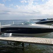 Sea Ray 240 ss